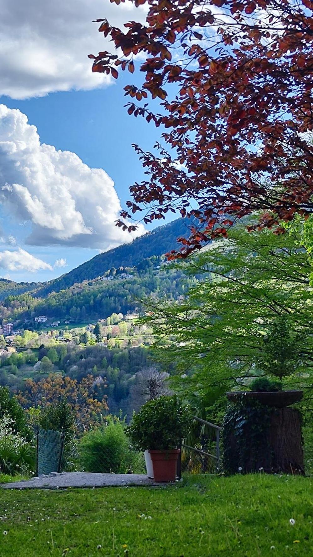 Villa Alma, Lake Como Bed&Breathe San Fedele Intelvi Dış mekan fotoğraf